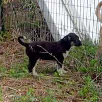 processed/d84e202c-e884-4039-9df9-750e26392802/listing/8bdd6203-00e5-45e6-b934-3f7217f6ca81/72bb0fe5-81fa-4bdd-ad82-35f18b47a4dd