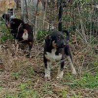 processed/d84e202c-e884-4039-9df9-750e26392802/listing/8bdd6203-00e5-45e6-b934-3f7217f6ca81/a761de7d-bd5f-404a-83b9-27463622e837