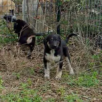 processed/d84e202c-e884-4039-9df9-750e26392802/listing/8bdd6203-00e5-45e6-b934-3f7217f6ca81/c9aa8bc7-3eee-4df5-b105-cb9dc6467692