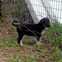 processed/d84e202c-e884-4039-9df9-750e26392802/listing/8bdd6203-00e5-45e6-b934-3f7217f6ca81/d773a5f5-cacb-42d6-ab32-c12538d59991