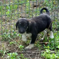 processed/d84e202c-e884-4039-9df9-750e26392802/listing/8bdd6203-00e5-45e6-b934-3f7217f6ca81/df884ee9-a9d8-4baa-95af-25a2db471836