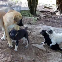 processed/d84e202c-e884-4039-9df9-750e26392802/listing/8bdd6203-00e5-45e6-b934-3f7217f6ca81/e2a0a60e-abe2-4321-bd4c-5e6842dc1325