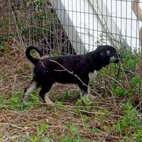 processed/d84e202c-e884-4039-9df9-750e26392802/listing/8bdd6203-00e5-45e6-b934-3f7217f6ca81/f4ad05e3-3153-49cd-82ac-9a521790df85