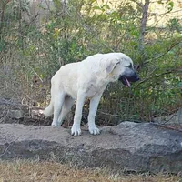 processed/d84e202c-e884-4039-9df9-750e26392802/listing/98941932-37d1-44e1-922b-cb18228f219b/7009e539-b293-45af-a9bb-02944bad2381