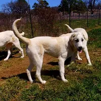 processed/d84e202c-e884-4039-9df9-750e26392802/listing/9c0febf1-cc61-4343-a7ca-6ffcac4ad8c2/cd8920d5-465e-46e7-aa39-860de872a212