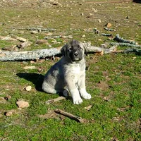 processed/d84e202c-e884-4039-9df9-750e26392802/listing/a4052fce-29df-431f-a4e4-97c456249565/1a64085c-507f-4a4b-80f7-927578dda76d