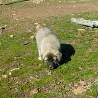 processed/d84e202c-e884-4039-9df9-750e26392802/listing/a4052fce-29df-431f-a4e4-97c456249565/74d0c5ad-6ece-457f-9100-517c77c8ed0f