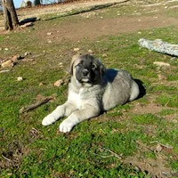 processed/d84e202c-e884-4039-9df9-750e26392802/listing/a4052fce-29df-431f-a4e4-97c456249565/79501d44-5e6e-427a-ba59-c24e6ee6b27b