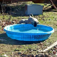 processed/d84e202c-e884-4039-9df9-750e26392802/listing/a4052fce-29df-431f-a4e4-97c456249565/8a14b90d-6017-4a15-86fd-c54e5efbc04d