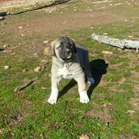 processed/d84e202c-e884-4039-9df9-750e26392802/listing/a4052fce-29df-431f-a4e4-97c456249565/bb10be4c-05f6-4d9f-8bc9-f73416536a2a