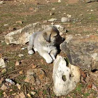 processed/d84e202c-e884-4039-9df9-750e26392802/listing/a4052fce-29df-431f-a4e4-97c456249565/c2ac4116-70f5-4b30-8dd2-436acd43f7a2