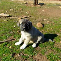 processed/d84e202c-e884-4039-9df9-750e26392802/listing/a4052fce-29df-431f-a4e4-97c456249565/d8f39dd0-ca02-47fb-a6f5-e20b73f9b8a5