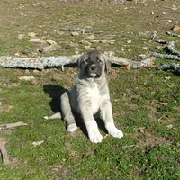 processed/d84e202c-e884-4039-9df9-750e26392802/listing/a4052fce-29df-431f-a4e4-97c456249565/f8c0d6d1-8aca-4573-a3ed-7bb734973b15