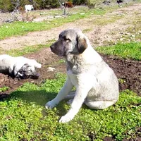 processed/d84e202c-e884-4039-9df9-750e26392802/listing/a46a3af6-2cdf-4574-adda-a80b8d53e843/4f918fe8-1c1c-4efa-9994-0016222ee10f