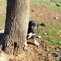 processed/d84e202c-e884-4039-9df9-750e26392802/listing/b29dc822-44e2-4eaf-8abb-1f6ee66a073c/1b65b161-4916-49c5-920d-302491528911