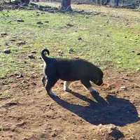 processed/d84e202c-e884-4039-9df9-750e26392802/listing/b29dc822-44e2-4eaf-8abb-1f6ee66a073c/23c803a1-5e24-4983-91d1-214ecb12ed4e