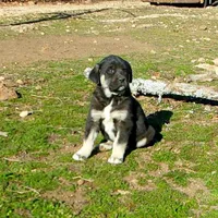 processed/d84e202c-e884-4039-9df9-750e26392802/listing/b29dc822-44e2-4eaf-8abb-1f6ee66a073c/392f9e8d-3e53-44d6-a700-4bb102c9f26c