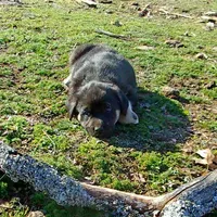 processed/d84e202c-e884-4039-9df9-750e26392802/listing/b29dc822-44e2-4eaf-8abb-1f6ee66a073c/43a66db8-3955-491d-b239-13b1b81cb573