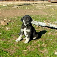 processed/d84e202c-e884-4039-9df9-750e26392802/listing/b29dc822-44e2-4eaf-8abb-1f6ee66a073c/a4ccda68-c2e7-45d8-b3ff-9eef3163d168