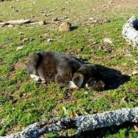 processed/d84e202c-e884-4039-9df9-750e26392802/listing/b29dc822-44e2-4eaf-8abb-1f6ee66a073c/c76b8c95-217b-4dbc-bea2-fad619e6ea97