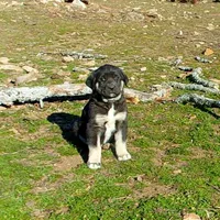 processed/d84e202c-e884-4039-9df9-750e26392802/listing/b29dc822-44e2-4eaf-8abb-1f6ee66a073c/f2628a50-cd49-4e09-ae42-ed98b98f2a8c