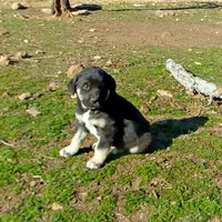 processed/d84e202c-e884-4039-9df9-750e26392802/listing/b29dc822-44e2-4eaf-8abb-1f6ee66a073c/f9a9580e-0587-45b9-af85-b6d1c61d04fc