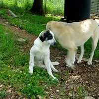 processed/d84e202c-e884-4039-9df9-750e26392802/listing/b2c90567-ea60-40d3-b2ec-f6a50fba6495/45c5fb75-8e5b-4ba8-a033-9170a1bc7a2d