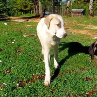 processed/d84e202c-e884-4039-9df9-750e26392802/listing/db653cdf-ac3f-494e-b4c9-be7991adf6fc/feb89767-58b5-4844-9e01-faa2af6ac05f