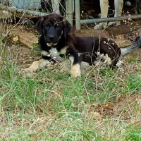 processed/d84e202c-e884-4039-9df9-750e26392802/listing/e26a1132-a515-4aa8-a211-0e94d42e7b2a/ff04b0a2-8a20-4124-90de-88e706495374