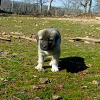 processed/d84e202c-e884-4039-9df9-750e26392802/listing/e3ba4997-b5b9-4ffa-b4ba-12decd120b4e/4279b3d4-726b-4326-bde7-f8b641e4d7f2