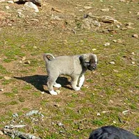 processed/d84e202c-e884-4039-9df9-750e26392802/listing/e3ba4997-b5b9-4ffa-b4ba-12decd120b4e/8229c9d9-76b3-489b-aa7e-3a40f2194480