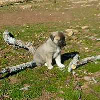 processed/d84e202c-e884-4039-9df9-750e26392802/listing/e3ba4997-b5b9-4ffa-b4ba-12decd120b4e/d105e41d-efec-4a3e-a493-9bcb1e29e285