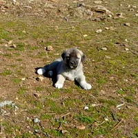 processed/d84e202c-e884-4039-9df9-750e26392802/listing/e3ba4997-b5b9-4ffa-b4ba-12decd120b4e/d2412754-9474-46ae-b54c-1901d1e742cc