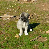 processed/d84e202c-e884-4039-9df9-750e26392802/listing/e3ba4997-b5b9-4ffa-b4ba-12decd120b4e/f9af71d4-93c2-44f7-b70e-fe4cdac97e00