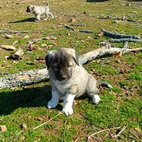 processed/d84e202c-e884-4039-9df9-750e26392802/listing/ebc3abdb-472f-4f1d-a342-60f3de9eb839/e6165029-433d-417e-87f8-de627bd9a16e