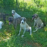 processed/d84e202c-e884-4039-9df9-750e26392802/listing/f2ef0b3d-41f9-4881-a266-76d1da31cedb/a2fde06c-6525-4d0c-b05d-db433622996c