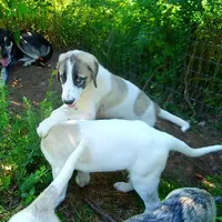 processed/d84e202c-e884-4039-9df9-750e26392802/listing/f2ef0b3d-41f9-4881-a266-76d1da31cedb/b227dffc-5f7d-44ce-8886-3e47340f8c61