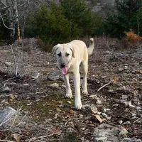 processed/d84e202c-e884-4039-9df9-750e26392802/listing/fde98768-ca4d-4a2e-84b7-8d88fcee1c4b/1a3a428f-1ffd-4df1-b9e8-3d789ae57cd7