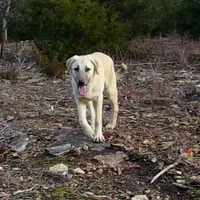 processed/d84e202c-e884-4039-9df9-750e26392802/listing/fde98768-ca4d-4a2e-84b7-8d88fcee1c4b/3612d8ff-da55-4b15-8463-8a75f57d91be