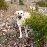 processed/d84e202c-e884-4039-9df9-750e26392802/listing/fde98768-ca4d-4a2e-84b7-8d88fcee1c4b/5ad7d88e-8b41-4268-a5d8-72ebe0584b98