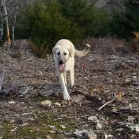 processed/d84e202c-e884-4039-9df9-750e26392802/listing/fde98768-ca4d-4a2e-84b7-8d88fcee1c4b/646b8bbf-4045-45c0-bfb3-7603470620b6