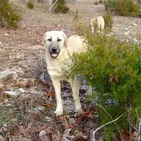 processed/d84e202c-e884-4039-9df9-750e26392802/listing/fde98768-ca4d-4a2e-84b7-8d88fcee1c4b/68bf92bf-4ef6-437d-b0d7-872ae81da11d