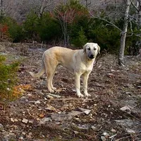 processed/d84e202c-e884-4039-9df9-750e26392802/listing/fde98768-ca4d-4a2e-84b7-8d88fcee1c4b/8b9356a3-2635-4929-91d5-c39e2c8f253e