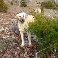 processed/d84e202c-e884-4039-9df9-750e26392802/listing/fde98768-ca4d-4a2e-84b7-8d88fcee1c4b/c0355bca-1784-4f49-940c-cfa0126bb987