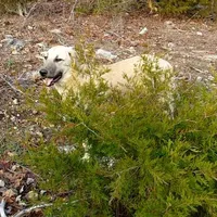 processed/d84e202c-e884-4039-9df9-750e26392802/listing/fde98768-ca4d-4a2e-84b7-8d88fcee1c4b/cc0e013b-6913-4a1f-9343-77806aca3449