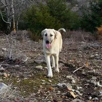 processed/d84e202c-e884-4039-9df9-750e26392802/listing/fde98768-ca4d-4a2e-84b7-8d88fcee1c4b/d6fd05a9-1912-41e3-9342-659fa7d0310f