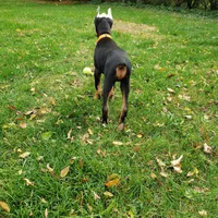 processed/d852020d-9930-4856-acd1-69c3d704b151/facility/2ac27620-51a7-4be1-bd95-41e00160357b