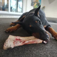 processed/d852020d-9930-4856-acd1-69c3d704b151/facility/4a2d6573-e6d9-4c3c-b160-bbadc06b9c80