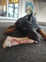 processed/d852020d-9930-4856-acd1-69c3d704b151/facility/4a2d6573-e6d9-4c3c-b160-bbadc06b9c80