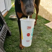 processed/d852020d-9930-4856-acd1-69c3d704b151/facility/4a307c45-2988-4a89-a24a-6e73f3594f18